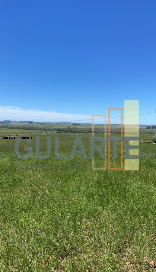 Fazenda, 930 hectares - Foto 7