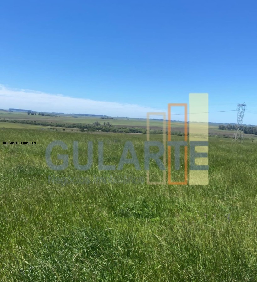 Fazenda, 930 hectares - Foto 8