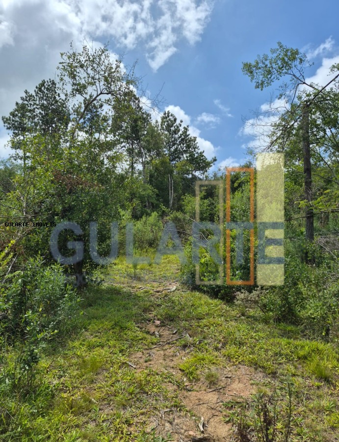 Terreno, 20 hectares - Foto 1