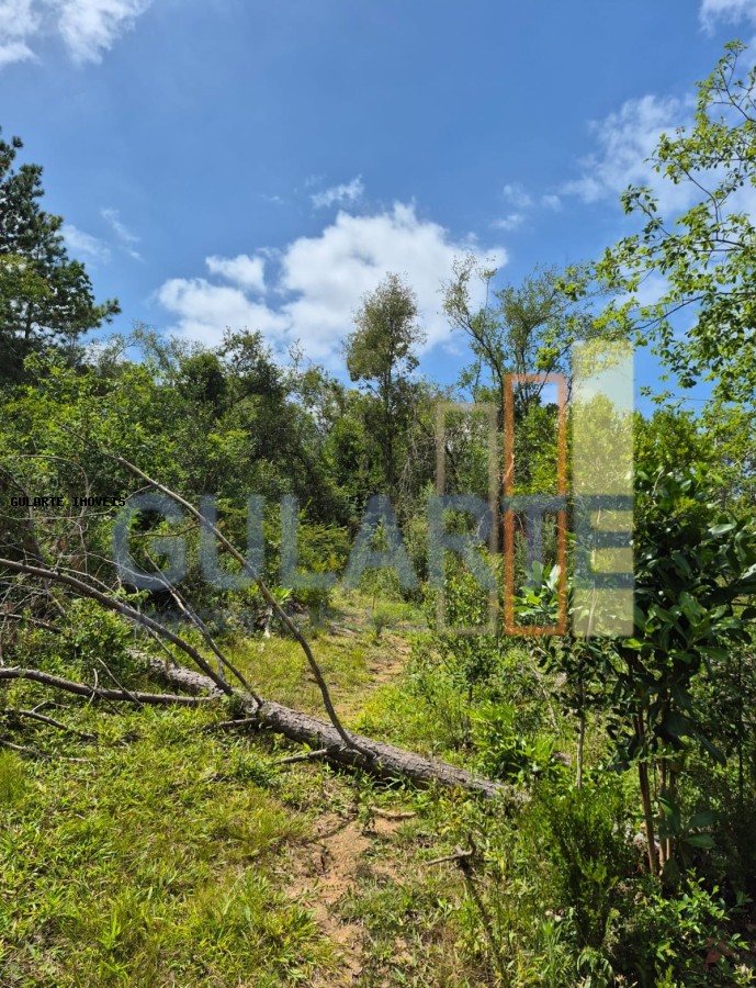 Terreno, 20 hectares - Foto 2