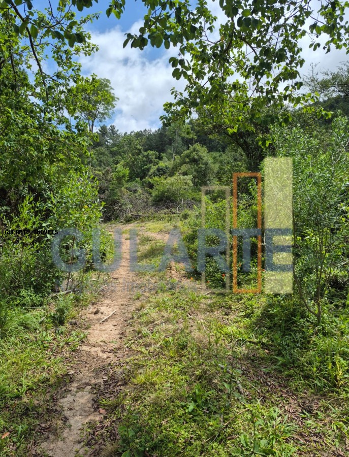 Terreno, 20 hectares - Foto 4