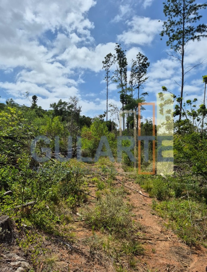 Terreno, 20 hectares - Foto 6