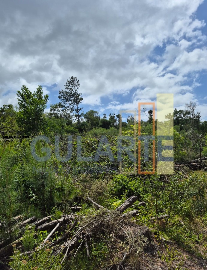 Terreno, 20 hectares - Foto 8