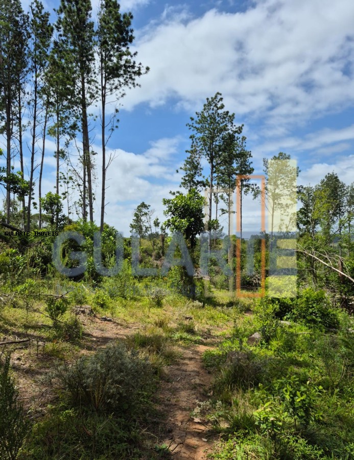 Terreno, 20 hectares - Foto 7