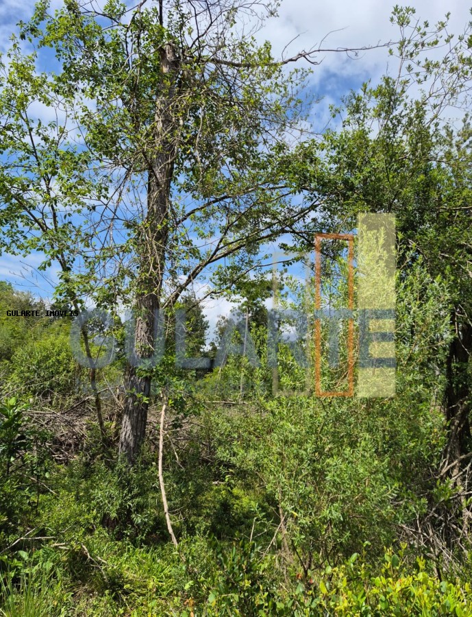 Terreno, 20 hectares - Foto 9