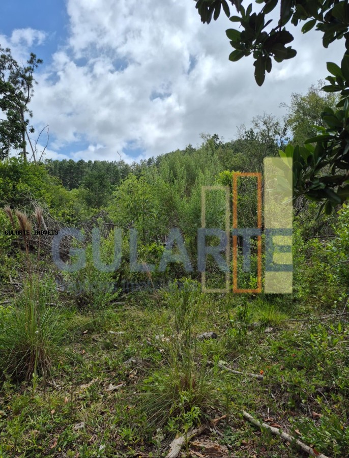 Terreno, 20 hectares - Foto 10