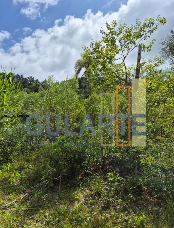 Terreno, 20 hectares - Foto 11