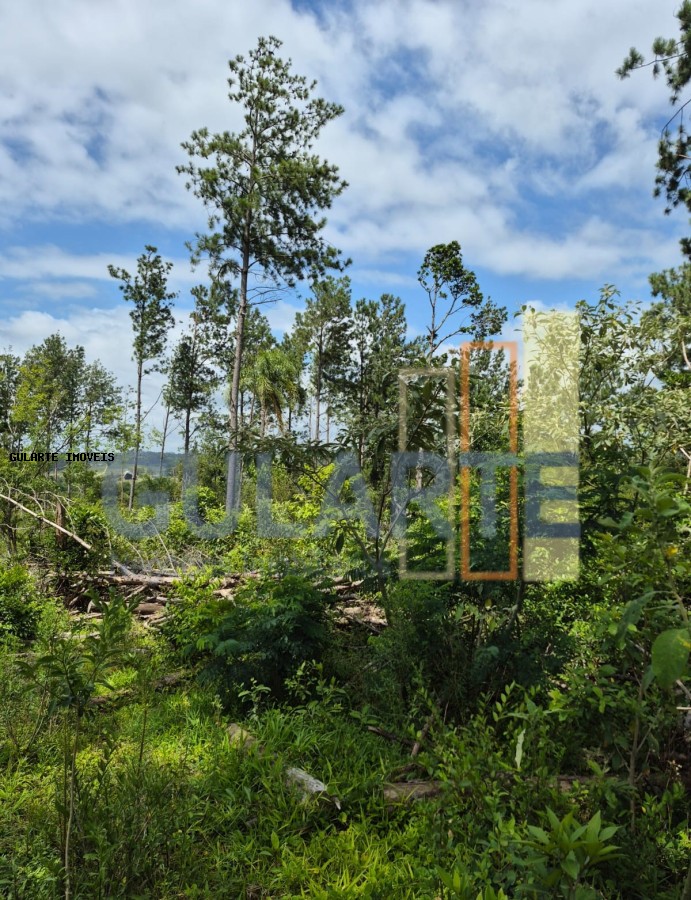 Terreno, 20 hectares - Foto 12