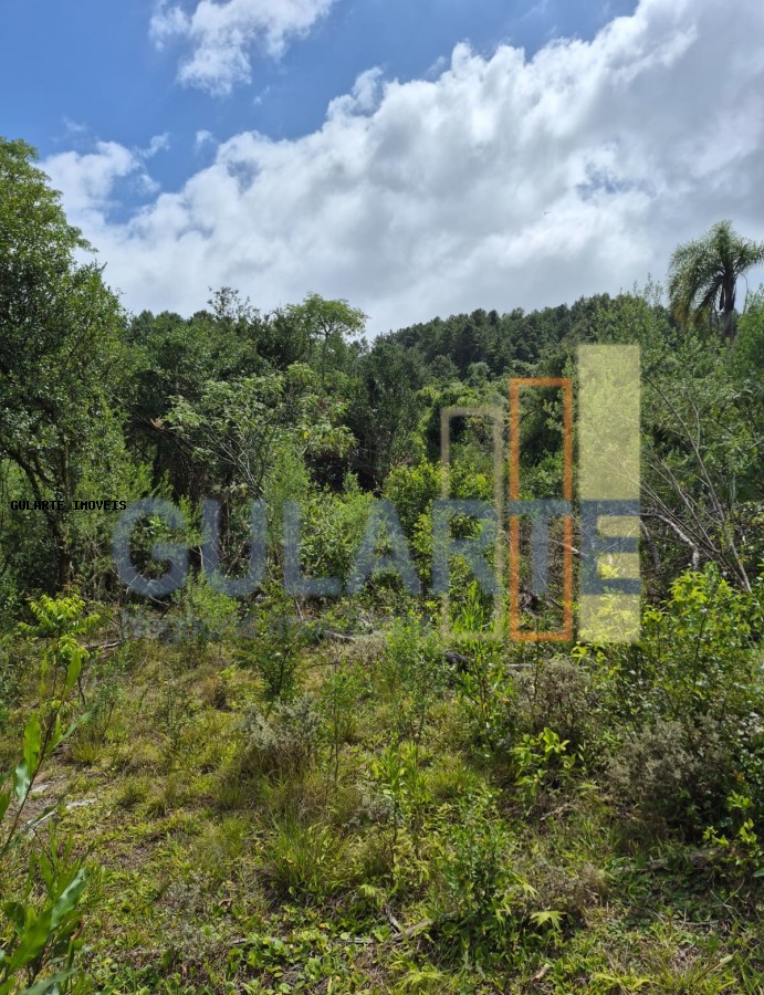 Terreno, 20 hectares - Foto 13