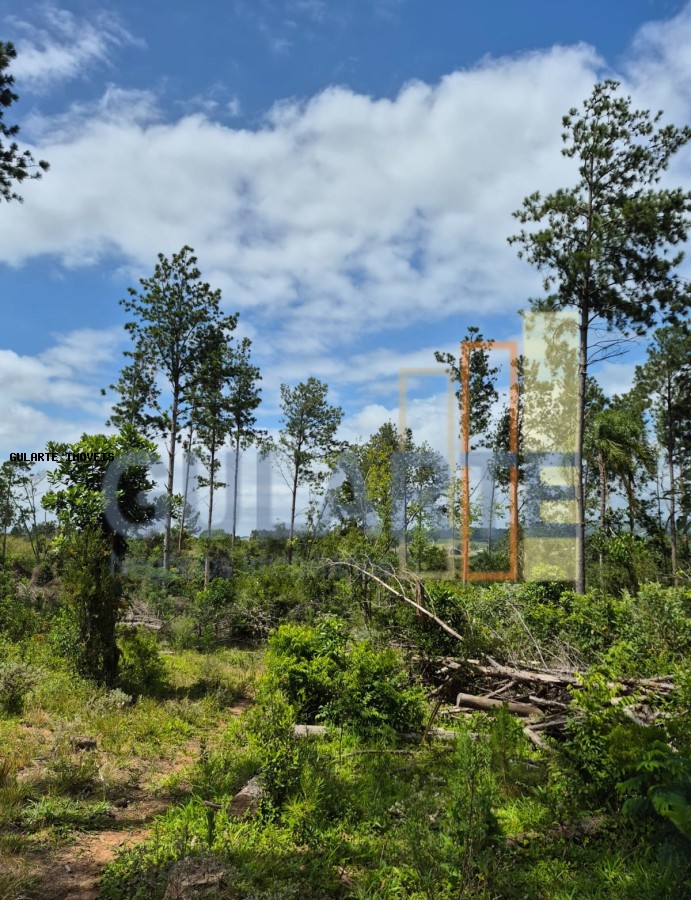 Terreno, 20 hectares - Foto 14