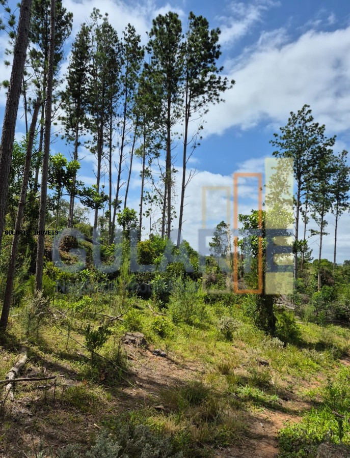 Terreno, 20 hectares - Foto 15