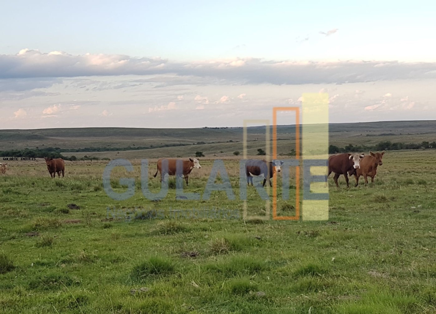 Fazenda, 1017 hectares - Foto 1