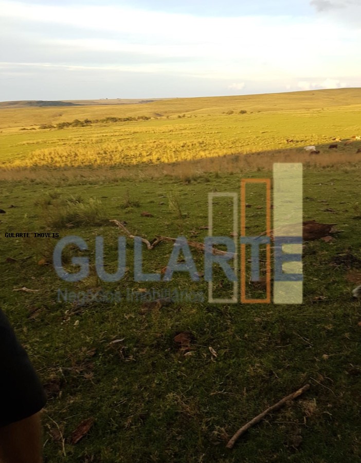 Fazenda, 1017 hectares - Foto 6