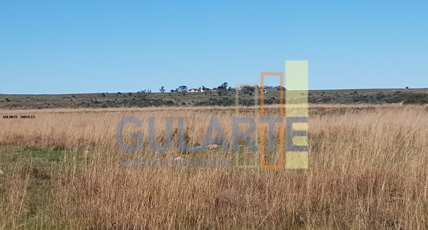 Fazenda, 1017 hectares - Foto 5