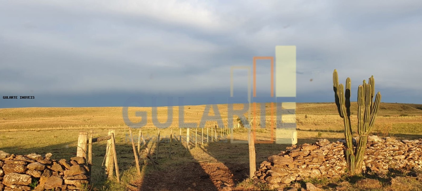 Fazenda, 1017 hectares - Foto 7