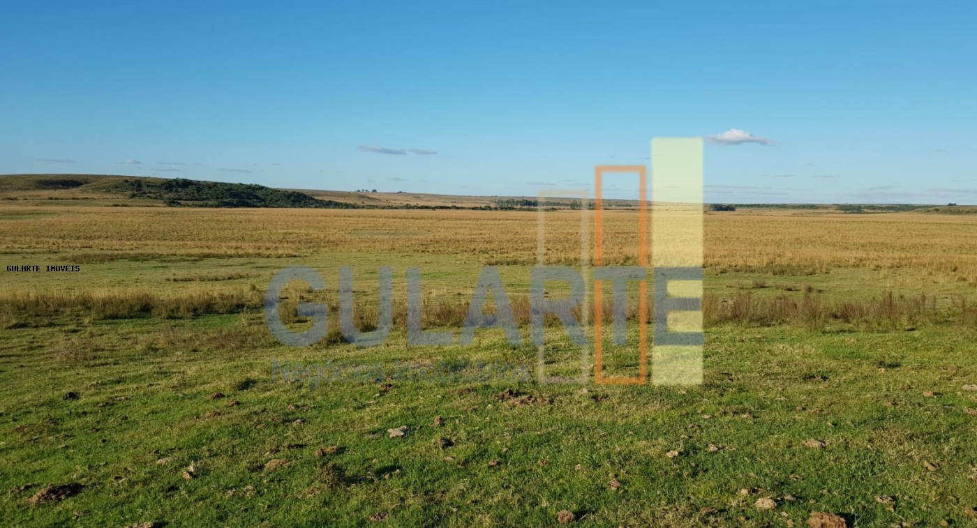 Fazenda, 1017 hectares - Foto 8