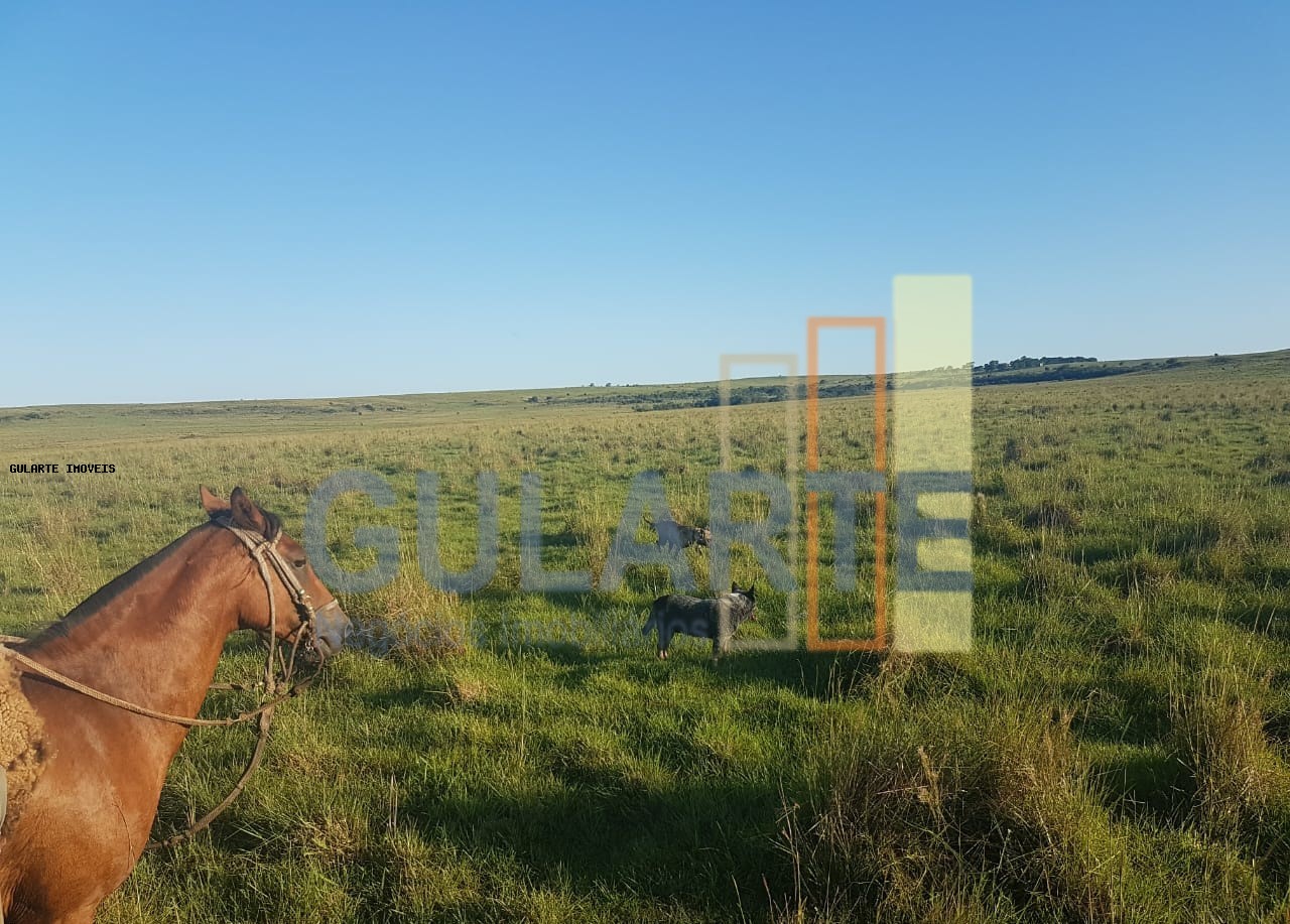 Fazenda, 1017 hectares - Foto 9