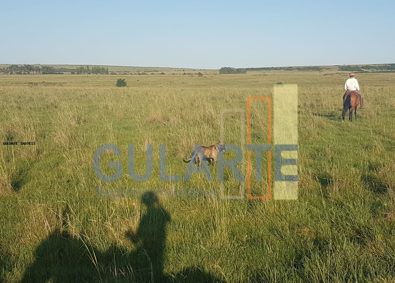 Fazenda, 1017 hectares - Foto 13