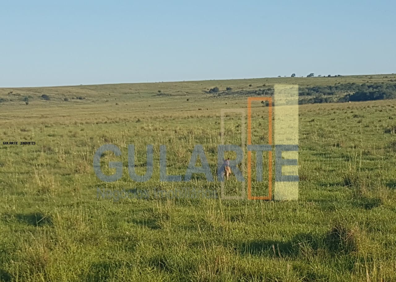 Fazenda, 1017 hectares - Foto 15