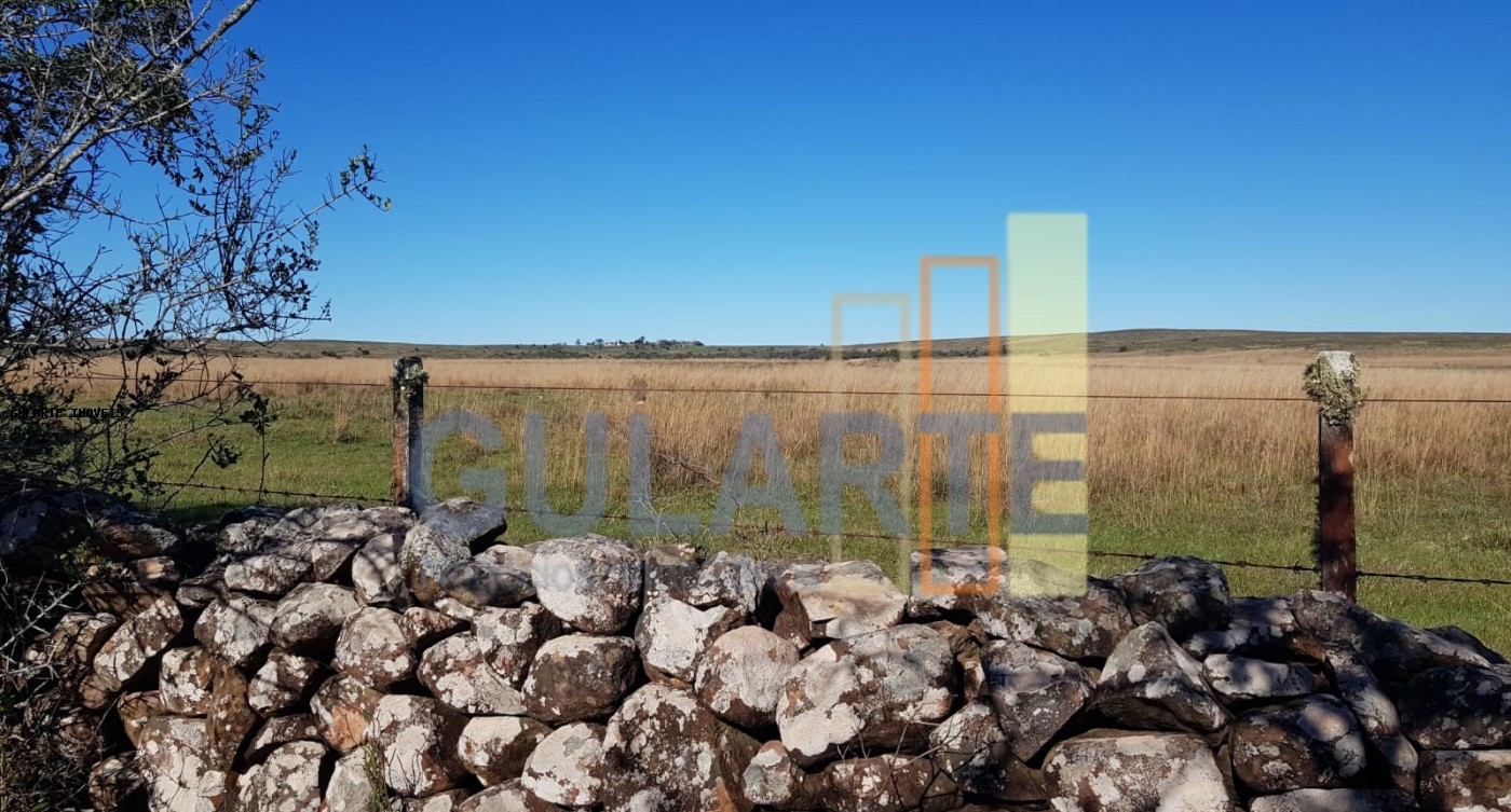 Fazenda, 1017 hectares - Foto 16