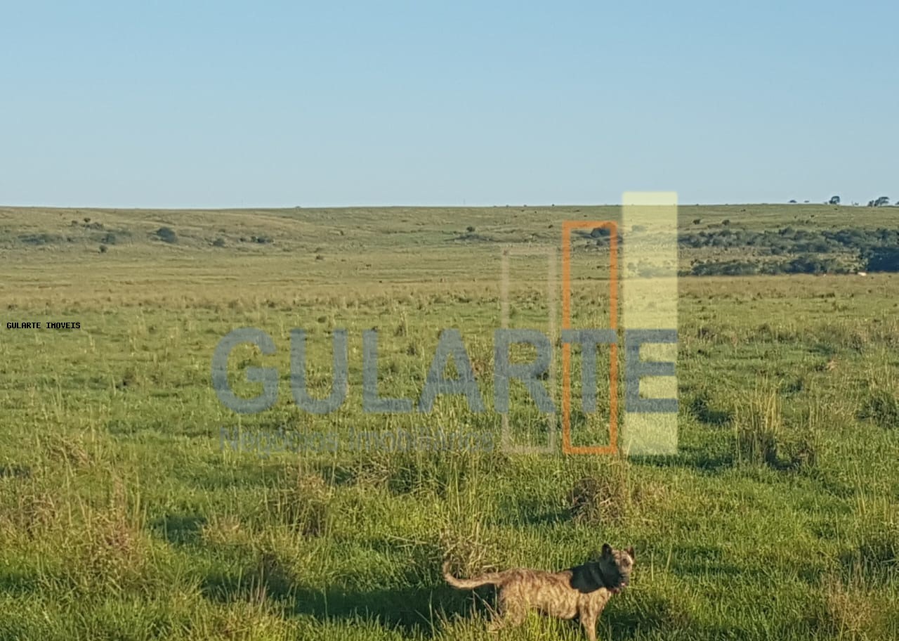 Fazenda, 1017 hectares - Foto 14