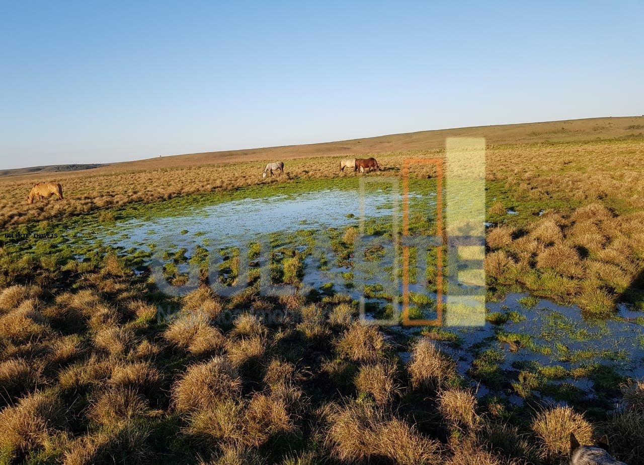 Fazenda, 1017 hectares - Foto 17