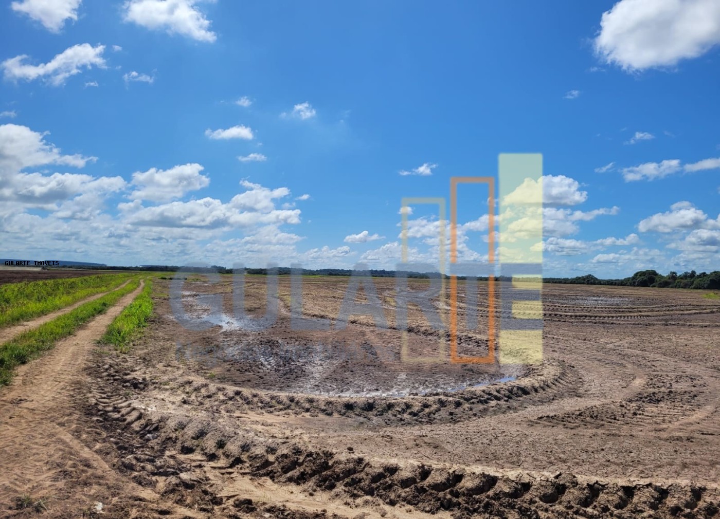 Terreno, 343 hectares - Foto 3