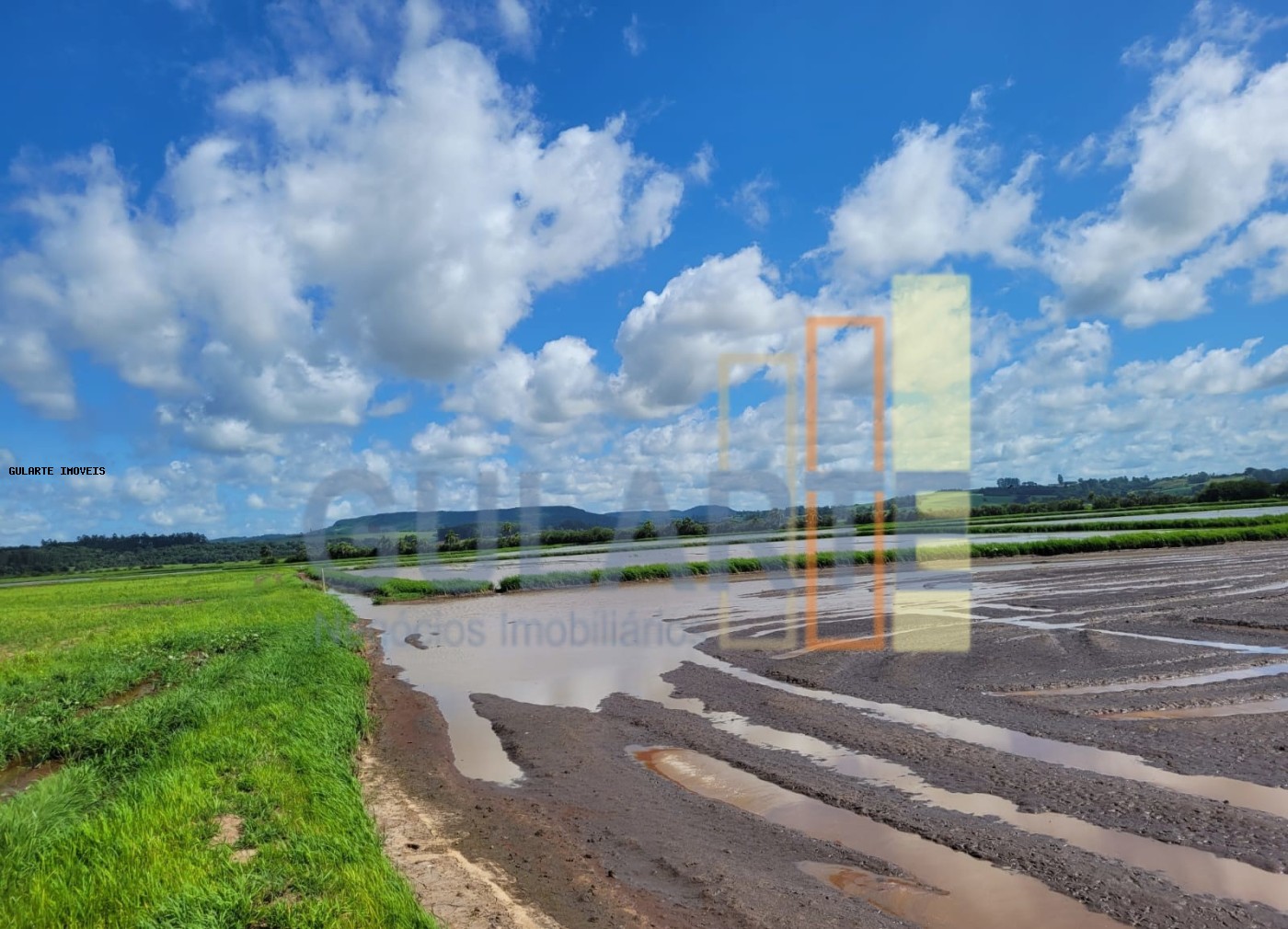 Terreno, 343 hectares - Foto 4