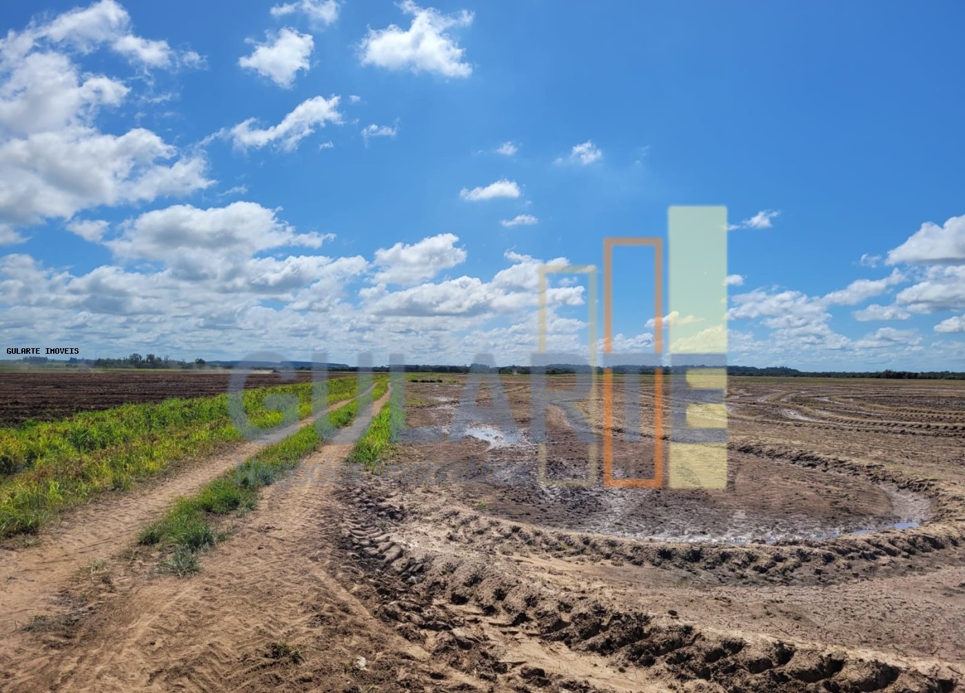 Terreno, 343 hectares - Foto 5