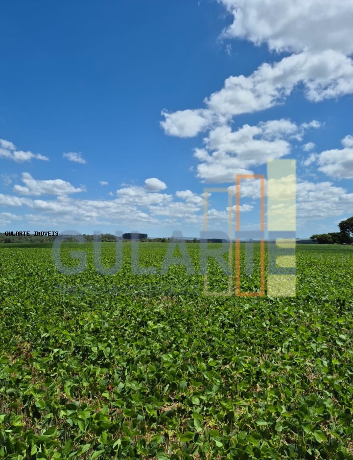 Fazenda, 72 hectares - Foto 1