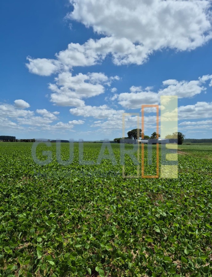 Fazenda, 72 hectares - Foto 3