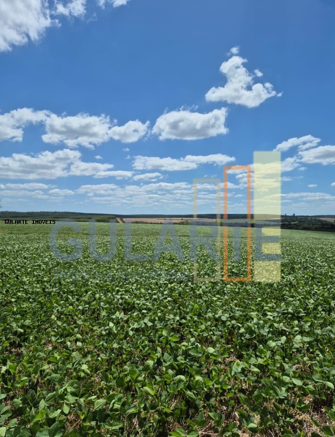 Fazenda, 72 hectares - Foto 2