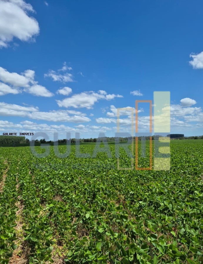 Fazenda, 72 hectares - Foto 4