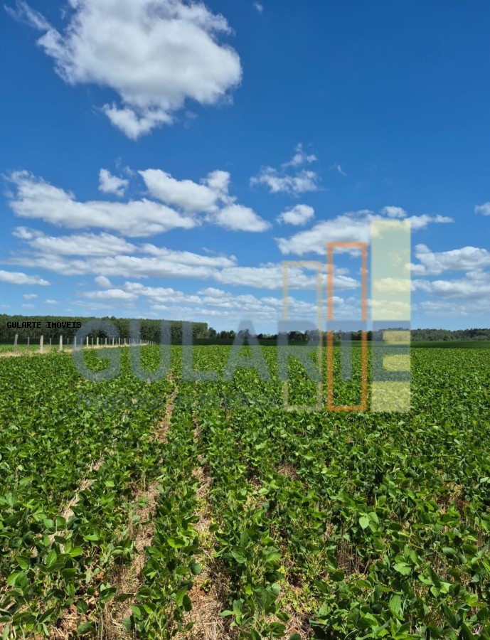 Fazenda, 72 hectares - Foto 5