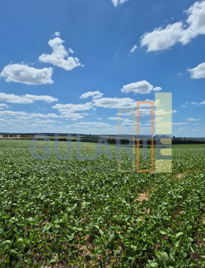 Fazenda, 72 hectares - Foto 7