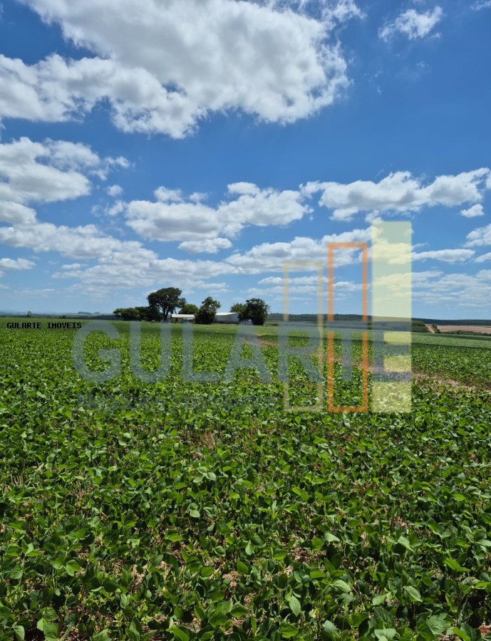 Fazenda, 72 hectares - Foto 6