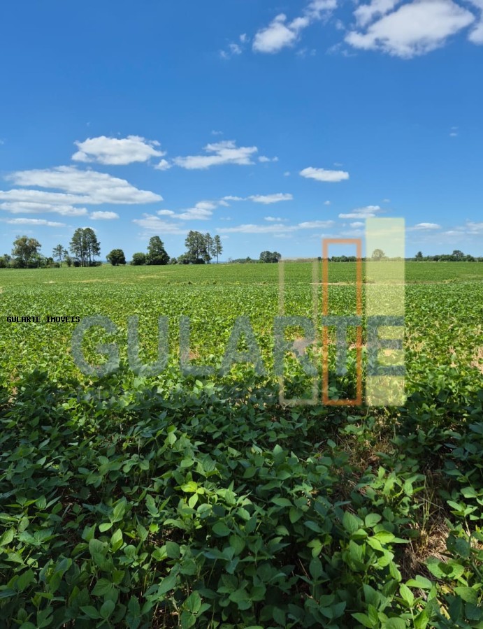 Fazenda, 72 hectares - Foto 10