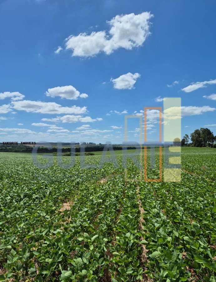 Fazenda, 72 hectares - Foto 9