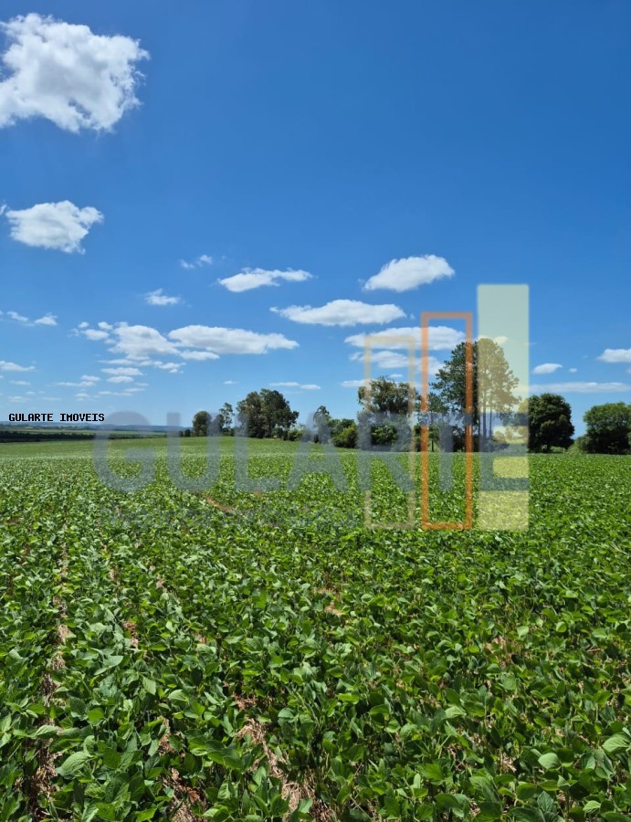 Fazenda, 72 hectares - Foto 8