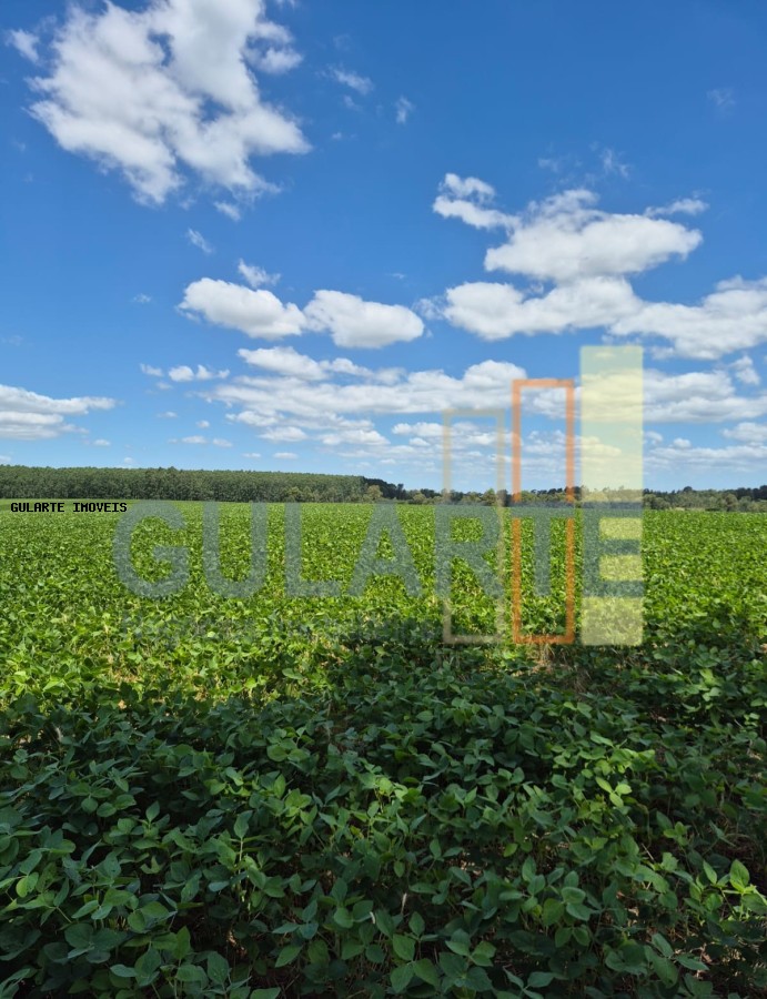 Fazenda, 72 hectares - Foto 11