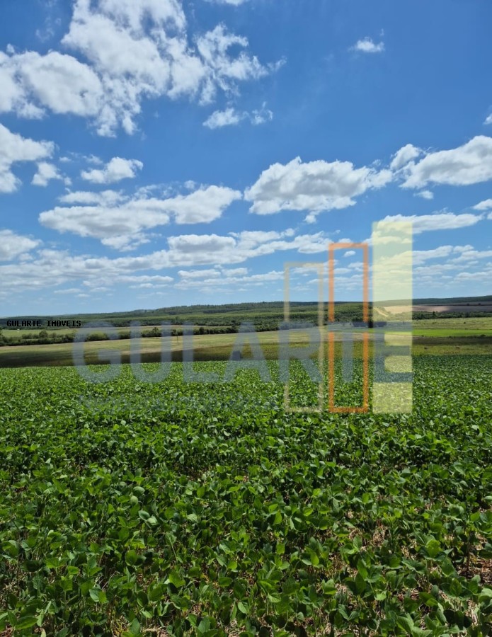 Fazenda, 72 hectares - Foto 15