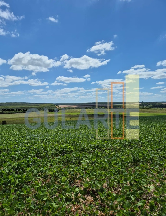 Fazenda, 72 hectares - Foto 13