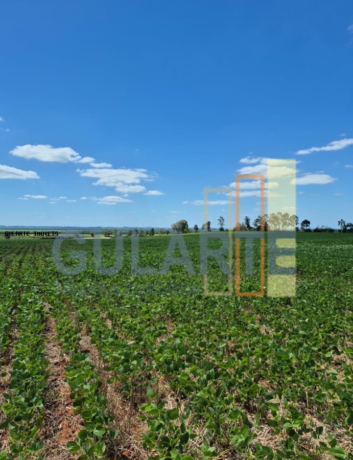 Fazenda, 72 hectares - Foto 18