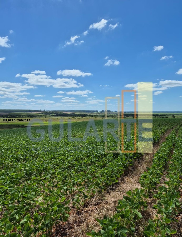 Fazenda, 72 hectares - Foto 17