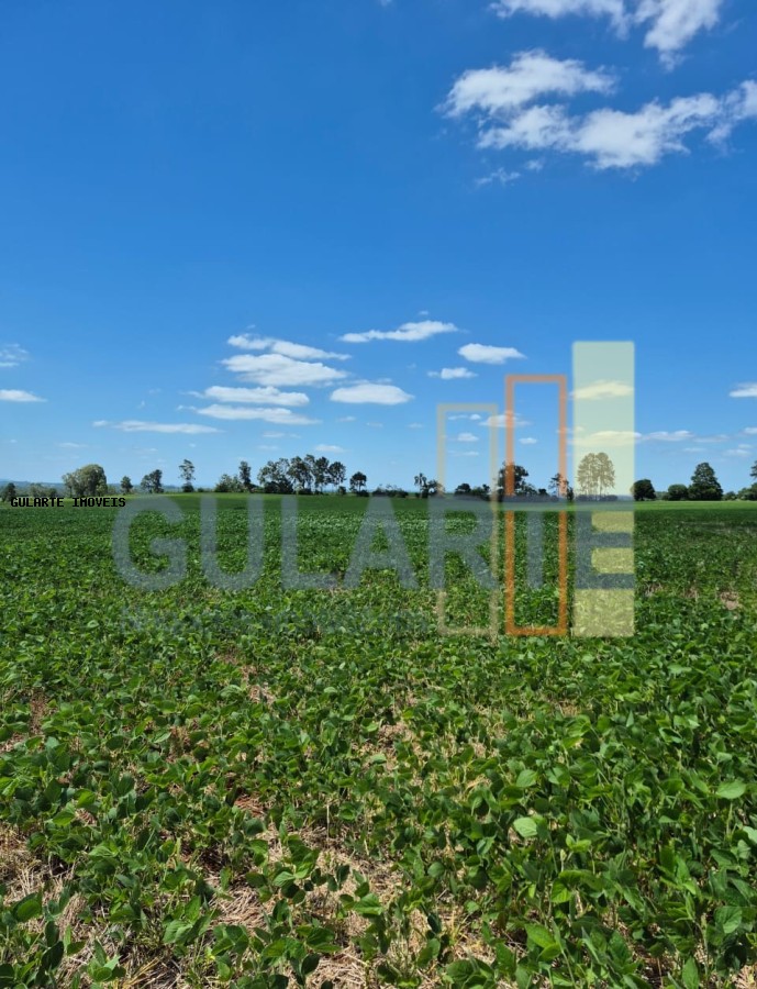 Fazenda, 72 hectares - Foto 16