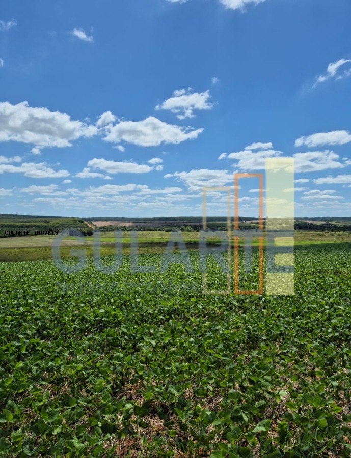 Fazenda, 72 hectares - Foto 19