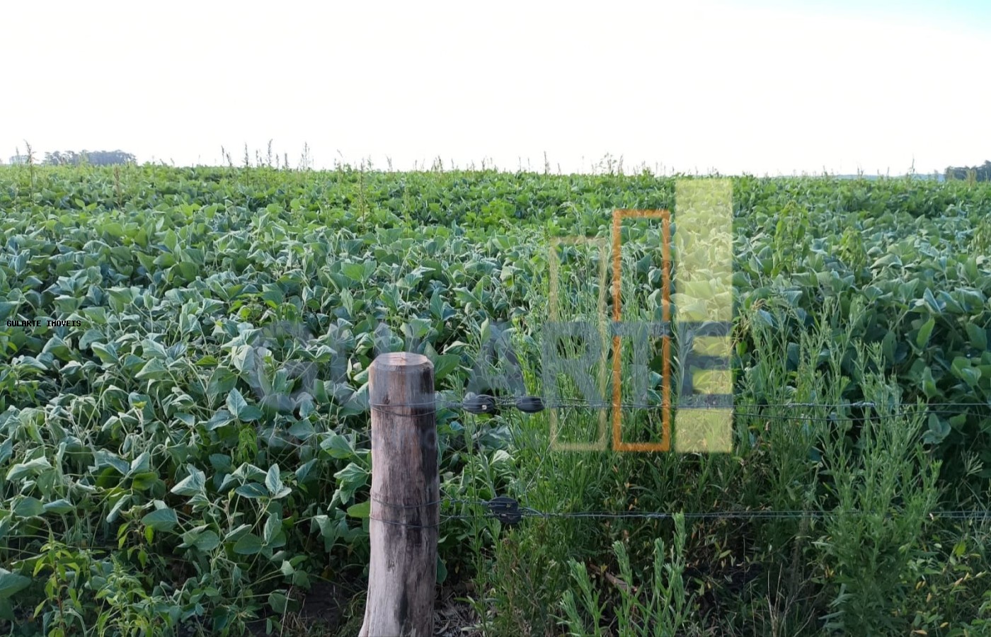 Fazenda, 30 hectares - Foto 12