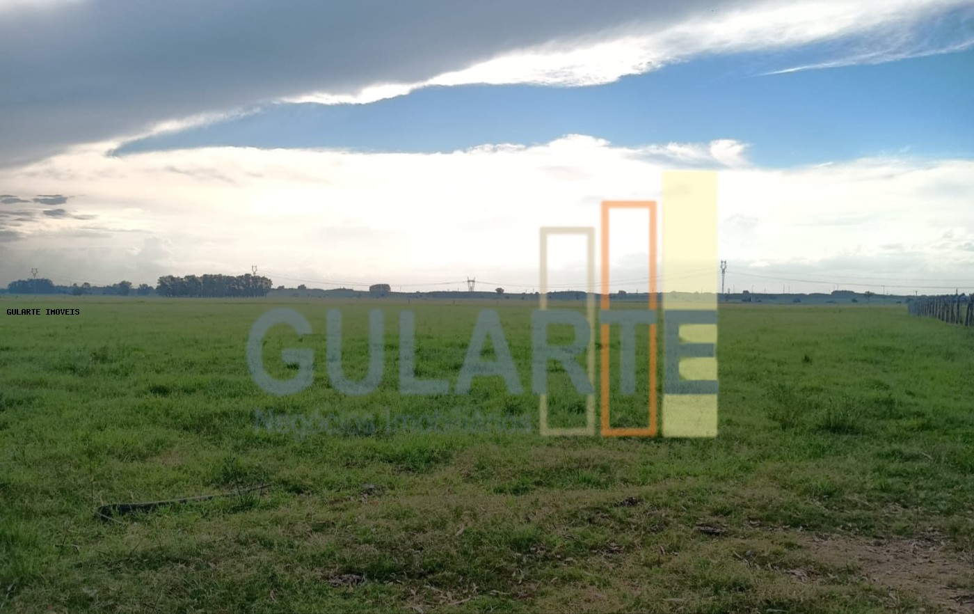 Fazenda, 30 hectares - Foto 4