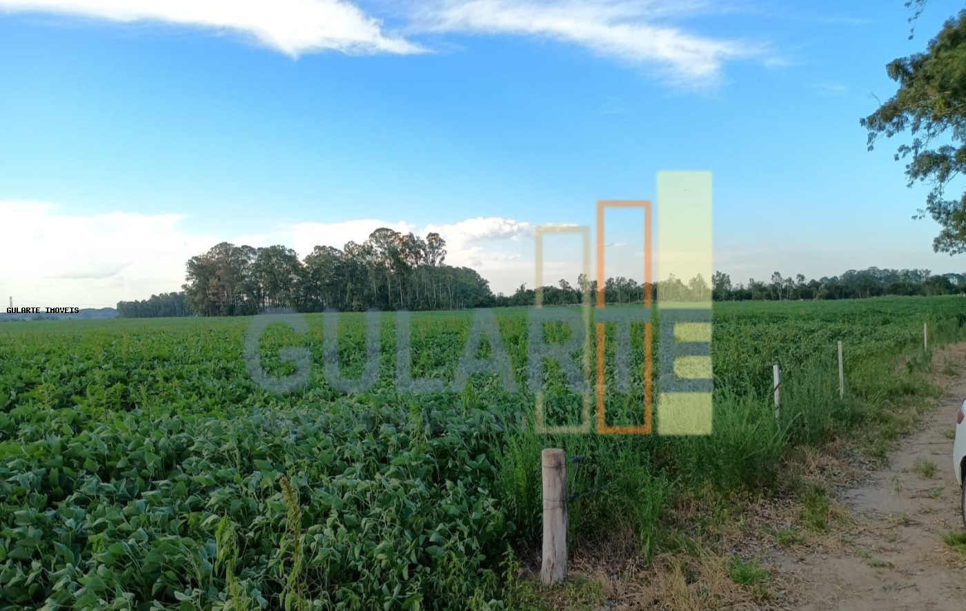 Fazenda, 30 hectares - Foto 5