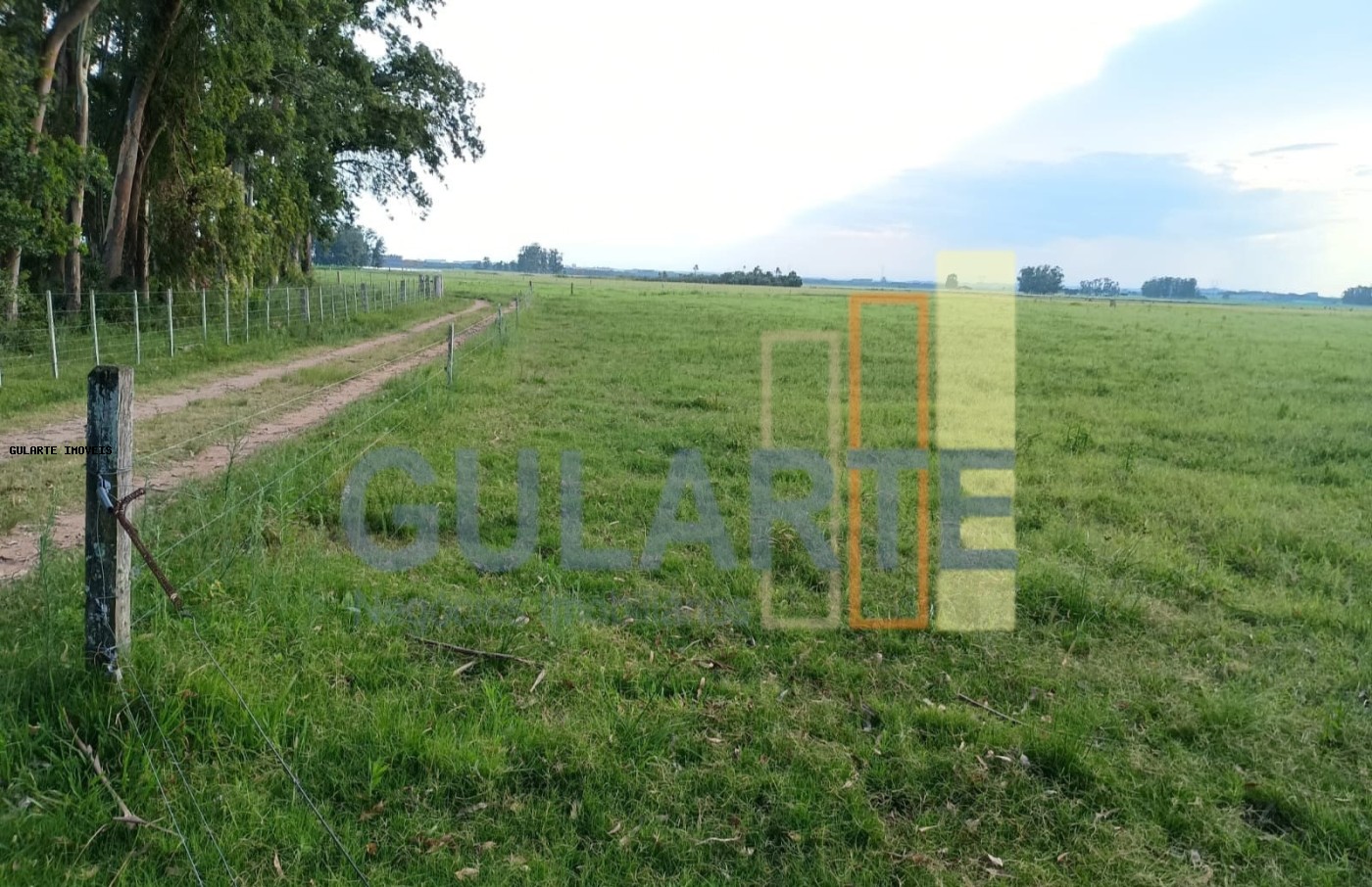 Fazenda, 30 hectares - Foto 9